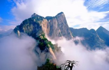 粗暴點，景區行業是不是廢了