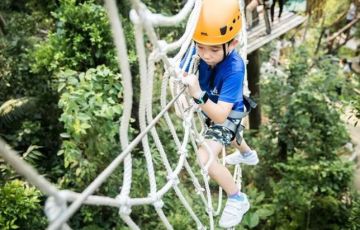 景區(qū)網紅類叢林穿越、魔網蹦床設備項目競爭力如何？